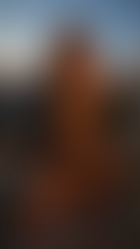 Geblurrte Content-Vorschau