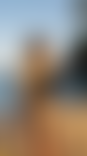 Blurred content preview