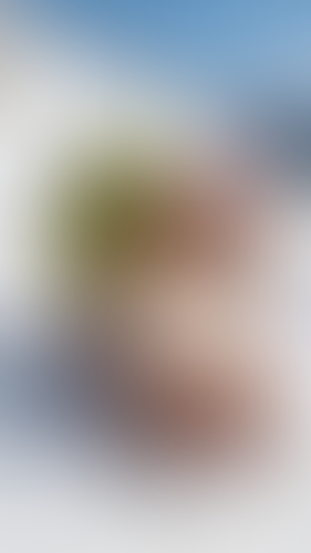 Blurred content preview