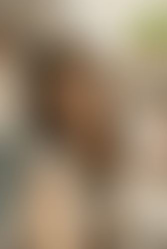 Blurred content preview