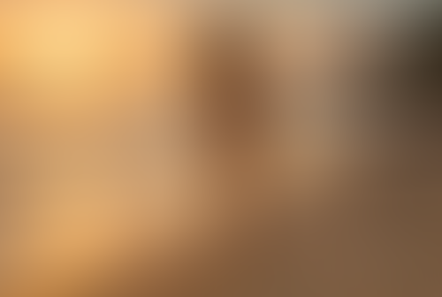 Geblurrte Content-Vorschau