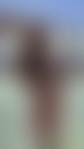 Geblurrte Content-Vorschau