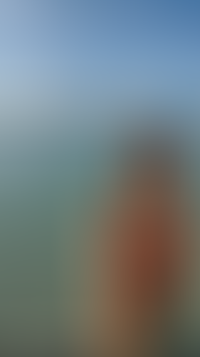 Geblurrte Content-Vorschau