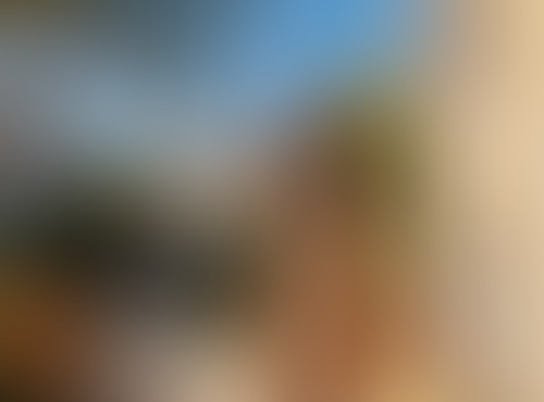 Geblurrte Content-Vorschau
