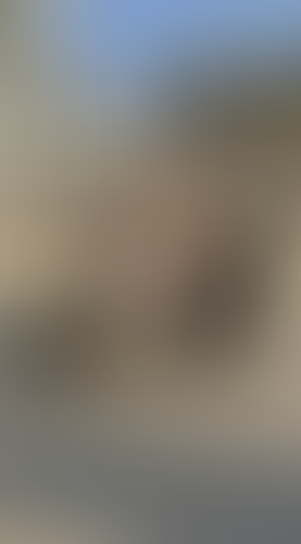 Geblurrte Content-Vorschau