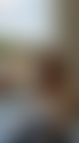 Geblurrte Content-Vorschau