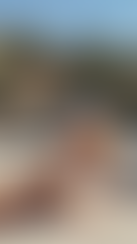 Blurred content preview