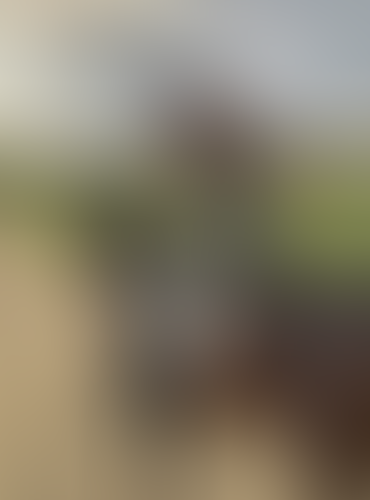Geblurrte Content-Vorschau