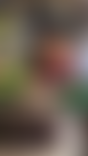 Geblurrte Content-Vorschau