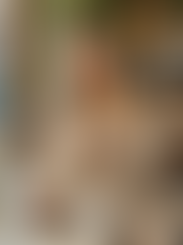 Geblurrte Content-Vorschau