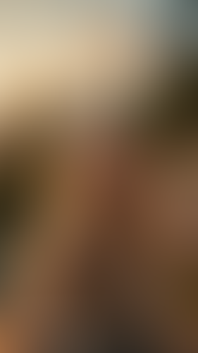 Geblurrte Content-Vorschau