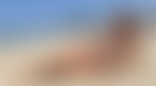 Blurred content preview