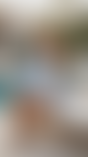 Blurred content preview