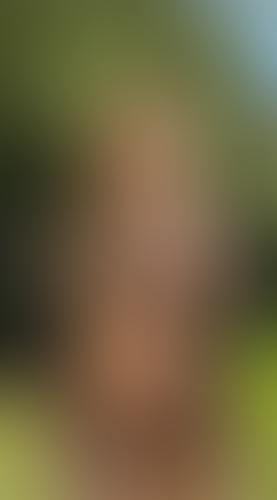 Geblurrte Content-Vorschau
