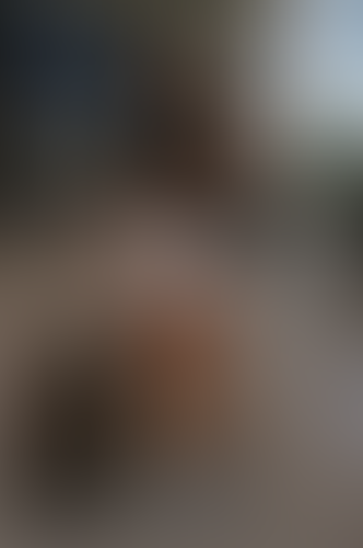 Blurred content preview