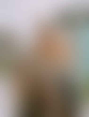 Geblurrte Content-Vorschau