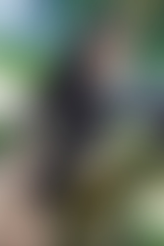 Geblurrte Content-Vorschau