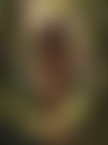 Geblurrte Content-Vorschau
