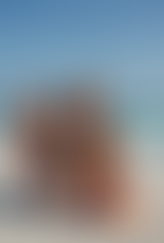 Geblurrte Content-Vorschau