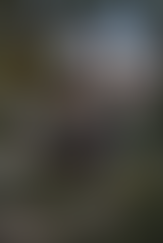Geblurrte Content-Vorschau