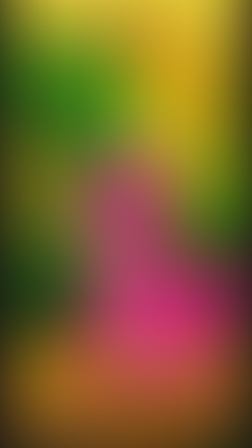 Geblurrte Content-Vorschau