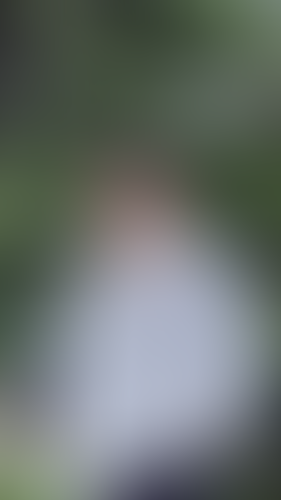 Geblurrte Content-Vorschau