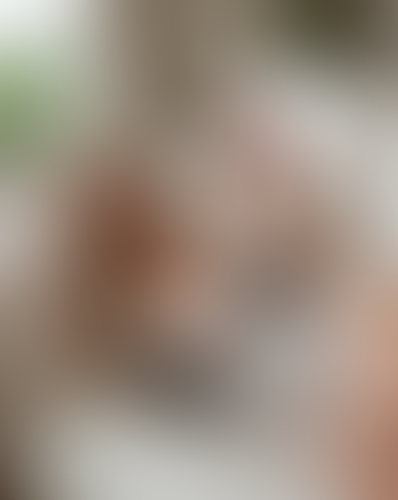 Geblurrte Content-Vorschau