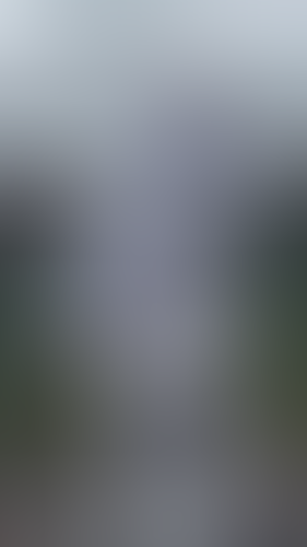 Geblurrte Content-Vorschau