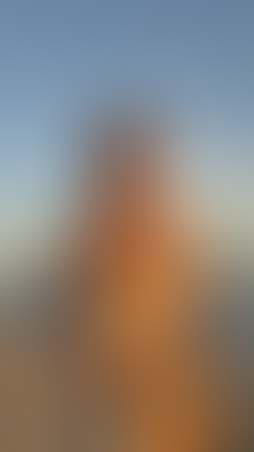 Geblurrte Content-Vorschau