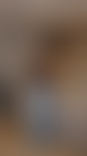 Geblurrte Content-Vorschau