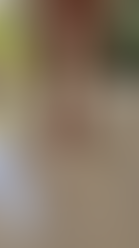 Geblurrte Content-Vorschau