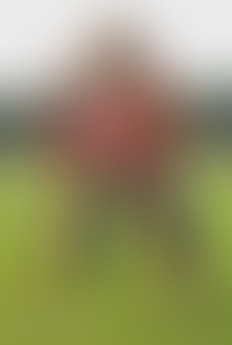 Geblurrte Content-Vorschau