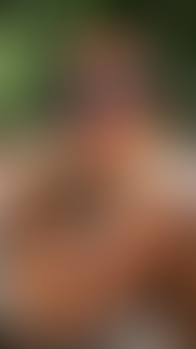 Geblurrte Content-Vorschau