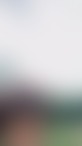 Geblurrte Content-Vorschau