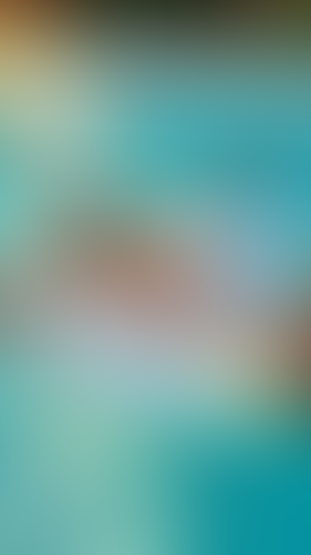 Geblurrte Content-Vorschau