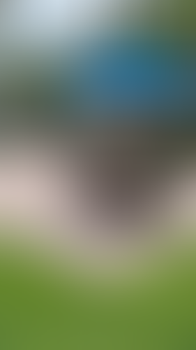 Geblurrte Content-Vorschau