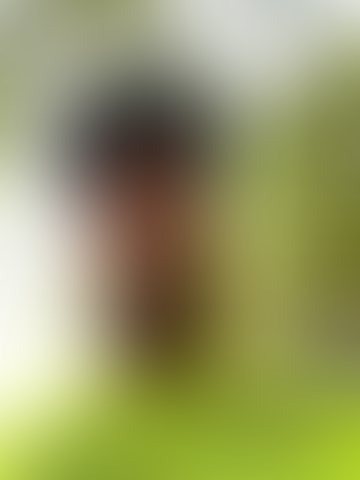 Geblurrte Content-Vorschau