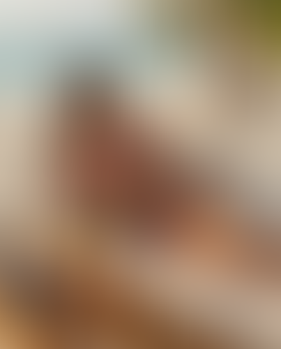 Geblurrte Content-Vorschau