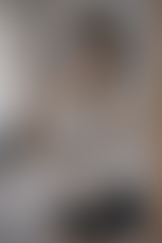 Geblurrte Content-Vorschau