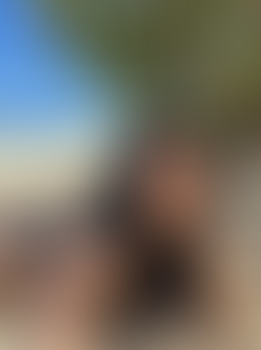 Blurred content preview