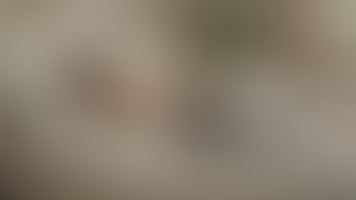 Geblurrte Content-Vorschau