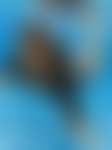 Blurred content preview