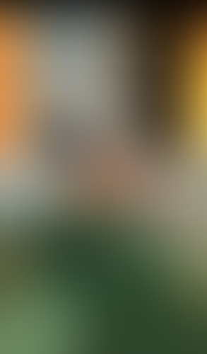 Geblurrte Content-Vorschau