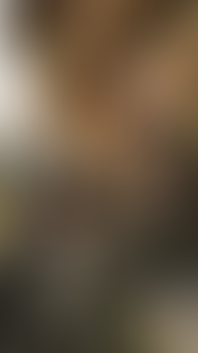 Geblurrte Content-Vorschau