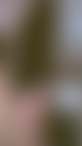 Geblurrte Content-Vorschau