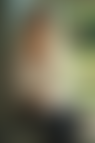Geblurrte Content-Vorschau