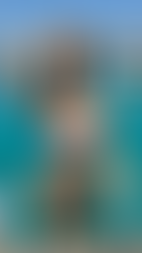 Geblurrte Content-Vorschau