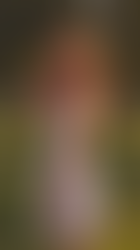 Geblurrte Content-Vorschau