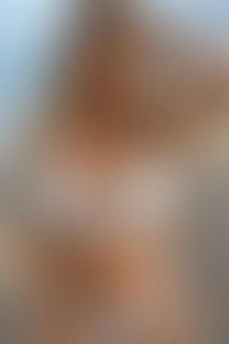 Geblurrte Content-Vorschau