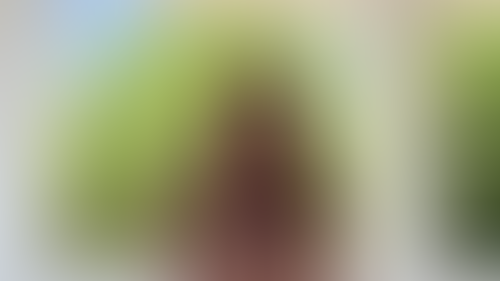 Geblurrte Content-Vorschau